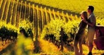 wineries